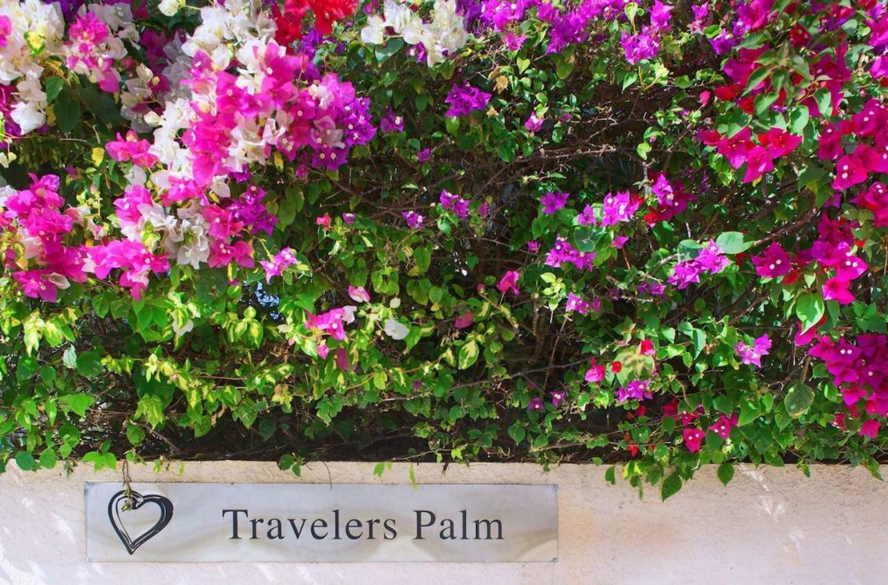 Travelers Palm Gasthof Key West